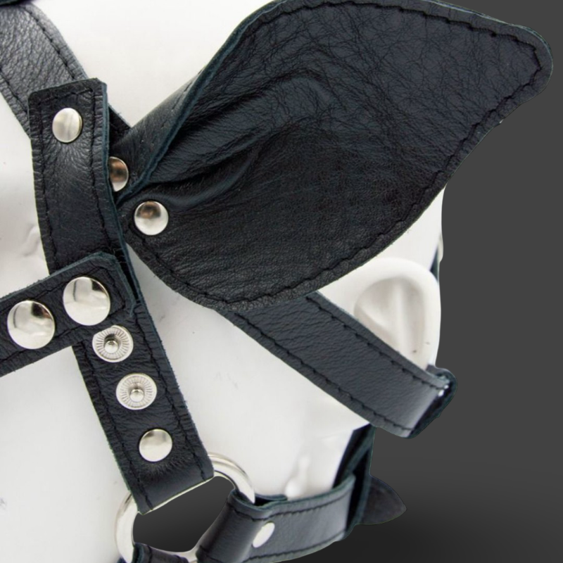Mister B Leather pig head harness