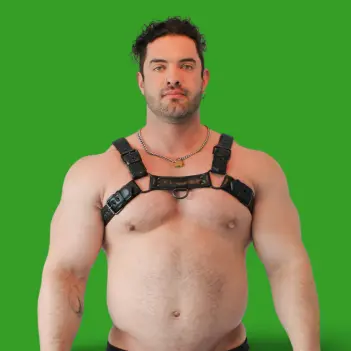 BRUTUS Vegan Bulldog Harness, vegan leather, dual D-ring | Dark-Ink