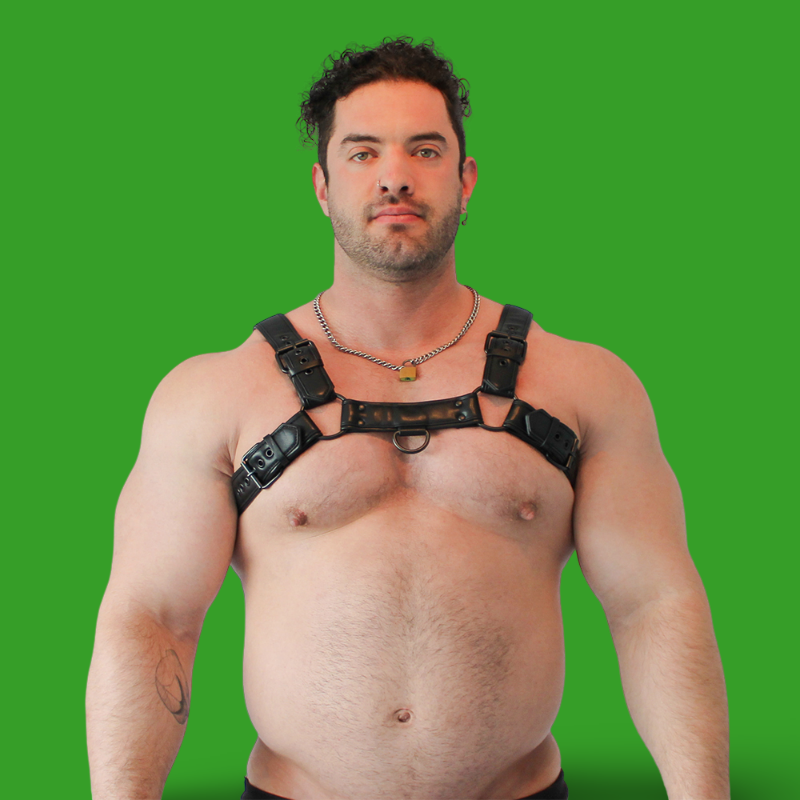 Vegan Bulldog Harness