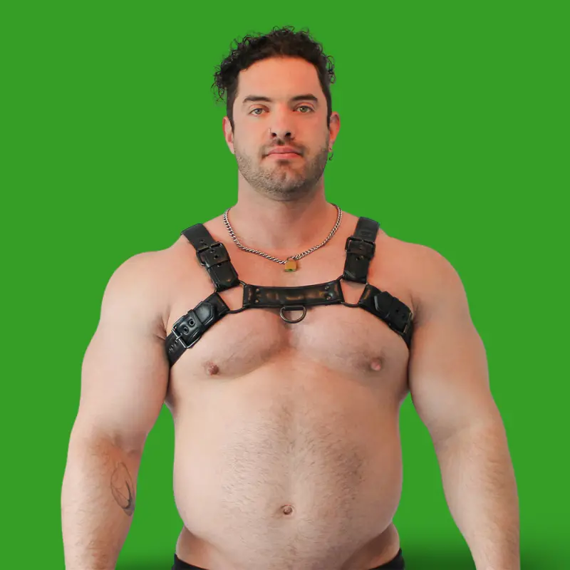 Arnés BRUTUS Vegan Bulldog, cuero vegano, anilla D doble | Dark-Ink