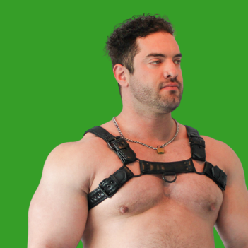 Vegan Bulldog Harness