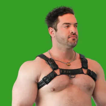 Arnés BRUTUS Vegan Bulldog, cuero vegano, anilla D doble | Dark-Ink