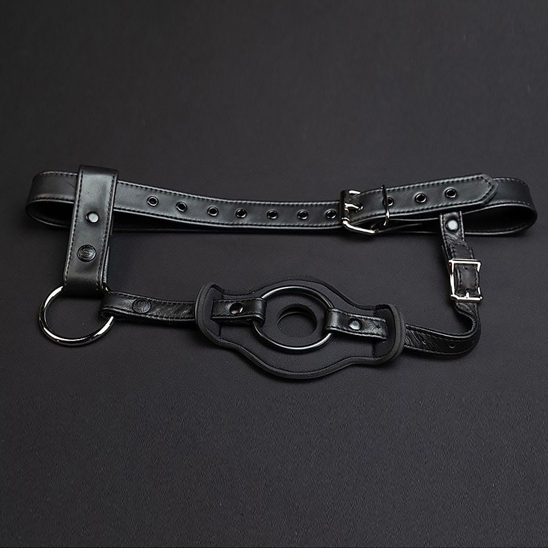 Mr S Leather Puppy Tail leather holster