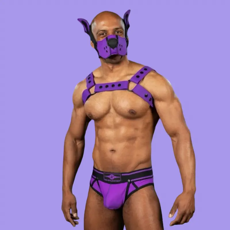 Arnés silicona Bulldog Mr S Leather Purple, 100% vegano | Dark-Ink