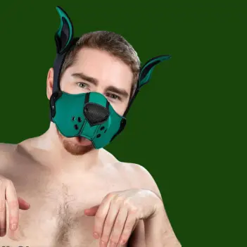 Mr S Leather K9 Muzzle Kit Hunter | Puppy Play Néoprène