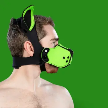 Mr S Leather K9 Muzzle Kit Lime – Kit Puppy Néoprène