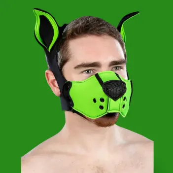 Mr S Leather K9 Muzzle Kit Lime – Kit Puppy Néoprène