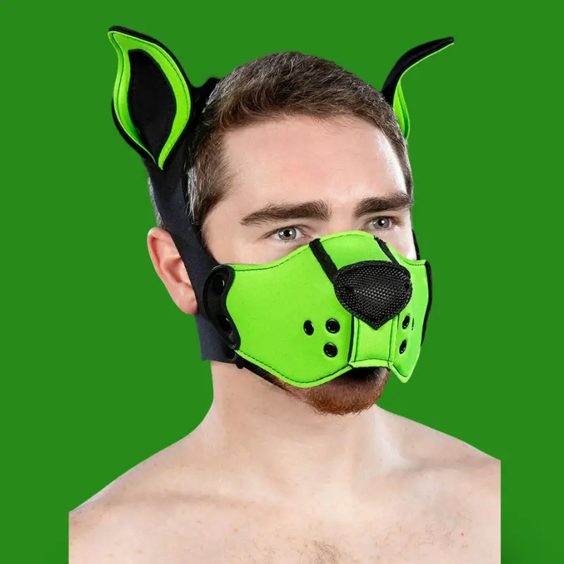Mr S Leather K9 Muzzle Kit Lime – Kit Puppy Néoprène