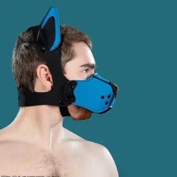 Mr S Leather K9 Muzzle Kit Cobalt – Kit Puppy Néoprène