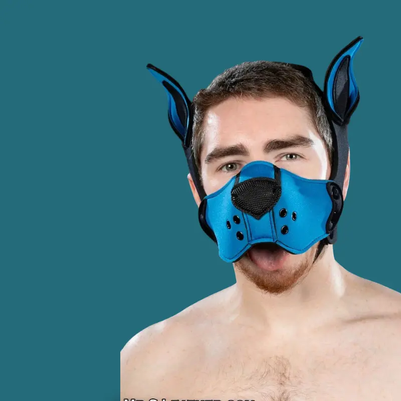 Mr S Leather K9 Muzzle Kit Cobalt – Kit Puppy Néoprène