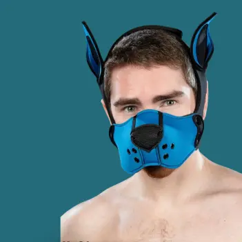 Mr S Leather K9 Muzzle Kit Cobalt – Kit Puppy Néoprène
