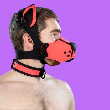 Mr S Leather K9 Muzzle Kit Pink | Puppy Play Néoprène
