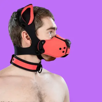 Mr S Leather Neoprene K9 puppy muzzle kit, pink | Dark-Ink