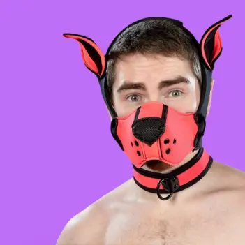 Mr S Leather Neoprene K9 puppy muzzle kit, pink | Dark-Ink