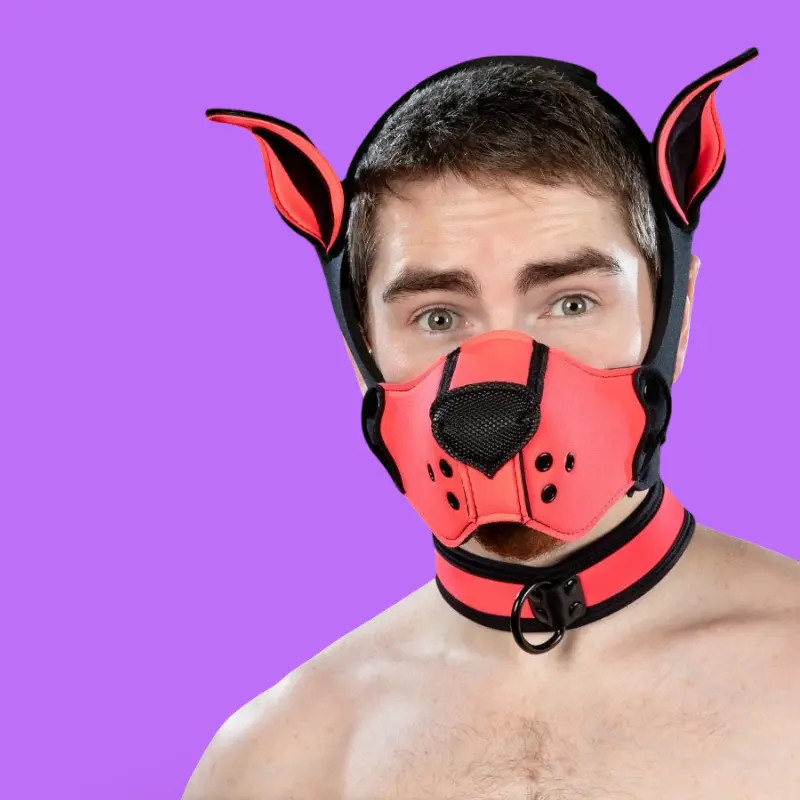 Mr S Leather Neoprene K9 puppy muzzle kit, pink | Dark-Ink