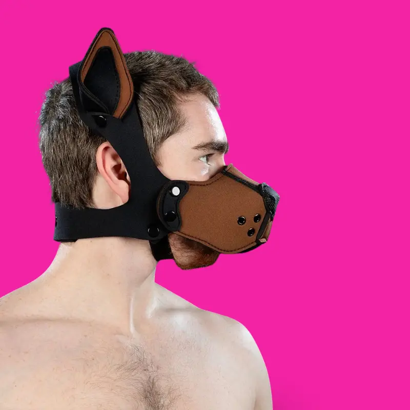 Kit bozal puppy K9 neopreno Mr S Leather, Marrón | Dark-Ink