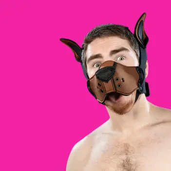 Kit bozal puppy K9 neopreno Mr S Leather, Marrón | Dark-Ink