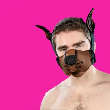Kit bozal puppy K9 neopreno Mr S Leather, Marrón | Dark-Ink