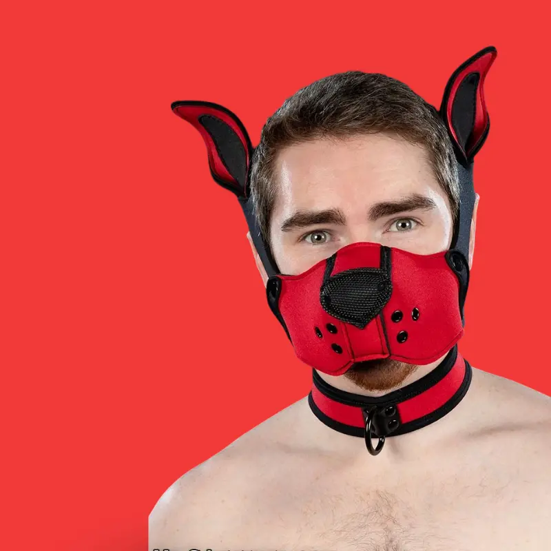Kit muselière puppy K9 néoprène Mr S Leather, Red | Dark-Ink