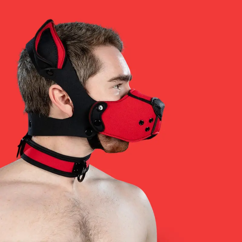 Kit muselière puppy K9 néoprène Mr S Leather, Red | Dark-Ink