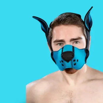 Kit muselière puppy K9 néoprène Mr S Leather, Aqua | Dark-Ink