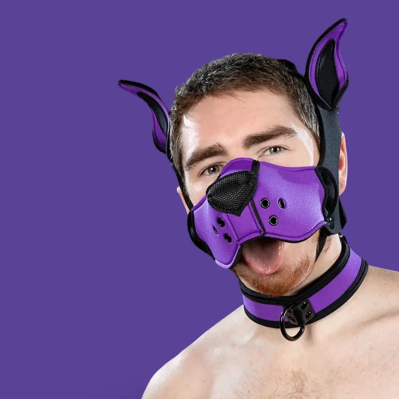 Kit muselière puppy K9 néoprène Mr S Leather, Purple | Dark-Ink