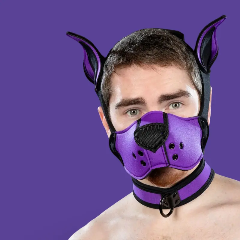 Kit muselière puppy K9 néoprène Mr S Leather, Purple | Dark-Ink