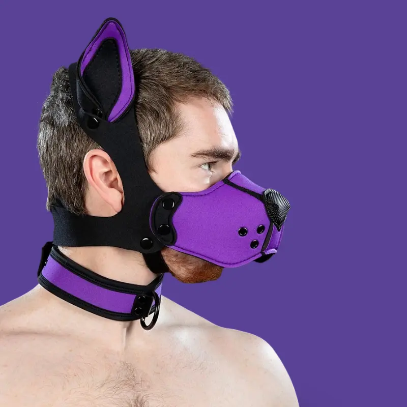 Kit muselière puppy K9 néoprène Mr S Leather, Purple | Dark-Ink