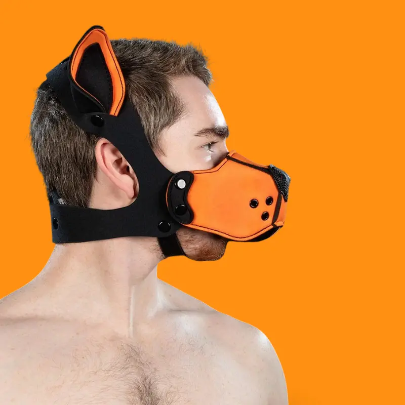 Neoprene K9 Puppy Muzzle Kit Mr S Leather, Orange | Dark-Ink