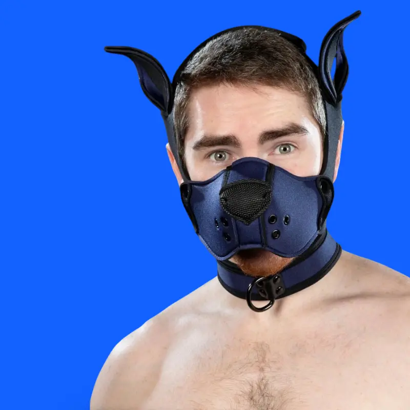 Kit muselière puppy K9 néoprène Mr S Leather, Navy | Dark-Ink