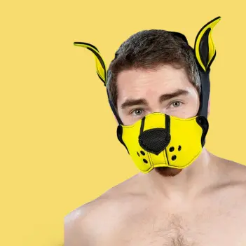 Kit bozal puppy K9 neopreno Mr S Leather, Amarillo | Dark-Ink
