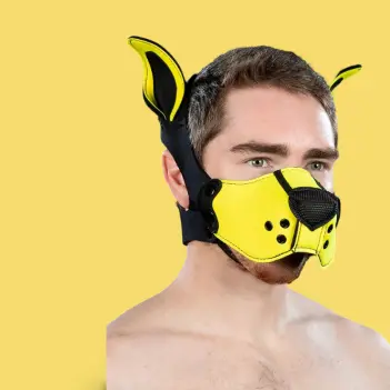 Neoprene K9 Puppy Muzzle Kit Mr S Leather, Yellow | Dark-Ink
