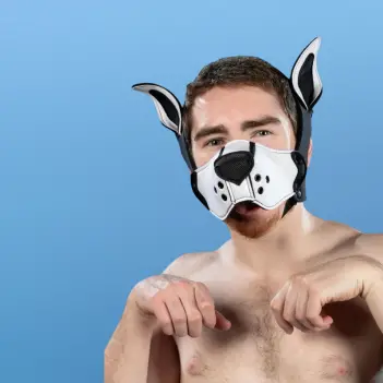 Kit muselière puppy K9 néoprène Mr S Leather, White | Dark-Ink