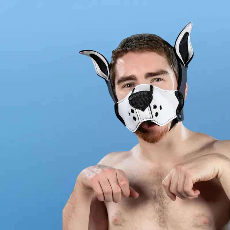 Kit muselière puppy K9 néoprène Mr S Leather, White | Dark-Ink