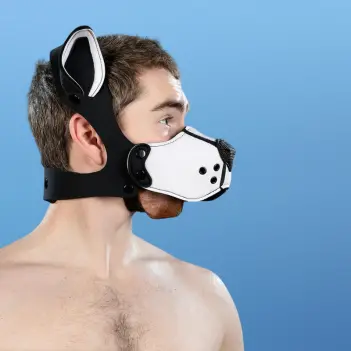 Kit muselière puppy K9 néoprène Mr S Leather, White | Dark-Ink
