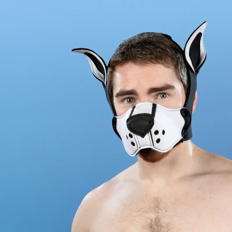 Kit muselière puppy K9 néoprène Mr S Leather, White | Dark-Ink