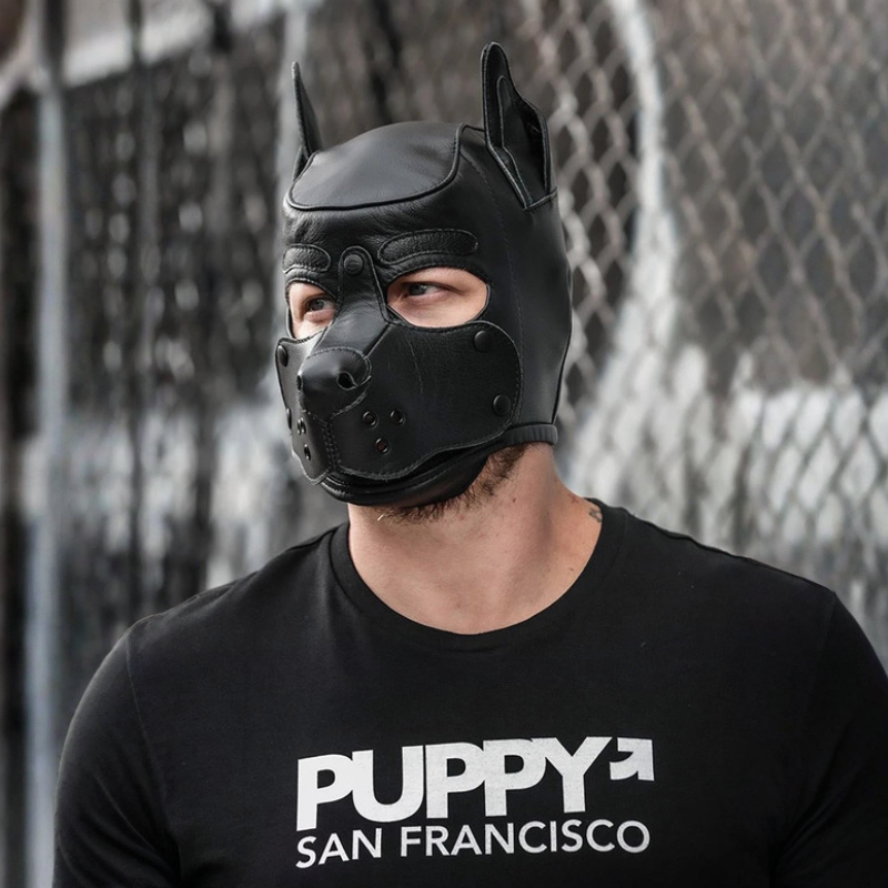 Mr S Leather K9 Hood de cuero | Puppy Play