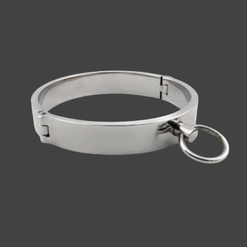 Classy Slave Collar – BDSM Halsreif aus Edelstahl