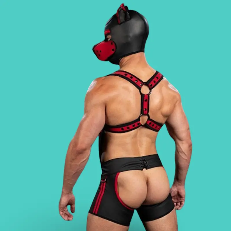 Mr S Leather X-Factor Red Neoprene Harness | Dark-Ink