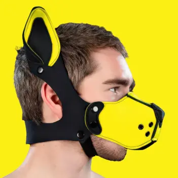 Kit bozal puppy K9 neopreno Mr S Leather, Amarillo | Dark-Ink