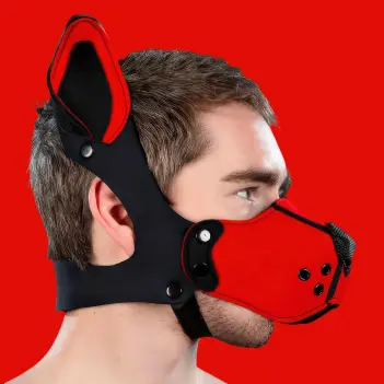 Kit muselière puppy K9 néoprène Mr S Leather, Red | Dark-Ink