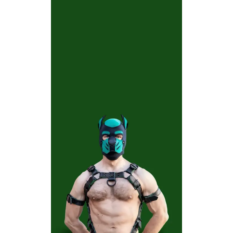 Mr S Leather Trojan 2.0 Body Harness – Arnés de cuero