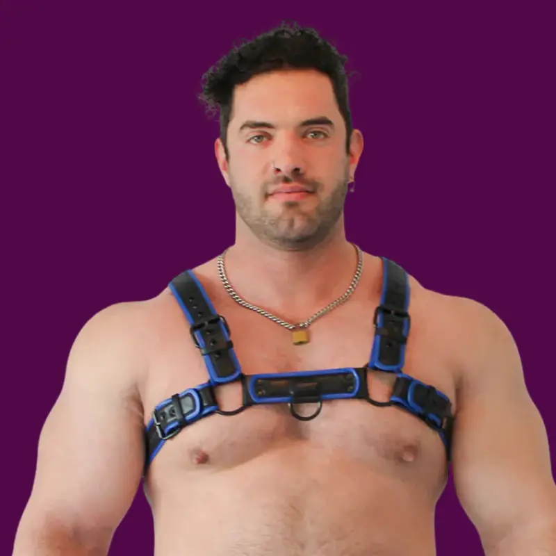 Arnés puppy BRUTUS Vegan Leather, cuero vegano, 4 hebillas | Dark-Ink
