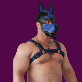 Arnés puppy BRUTUS Vegan Leather, cuero vegano, 4 hebillas | Dark-Ink