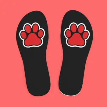 SneakXX Sneaker Socks PUPPY HOOD