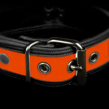 Collar puppy play Mr. S Leather Neo Bold, 14 colores | Dark-Ink