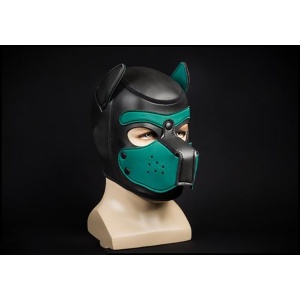 Neo Puppy Hood verde 7539