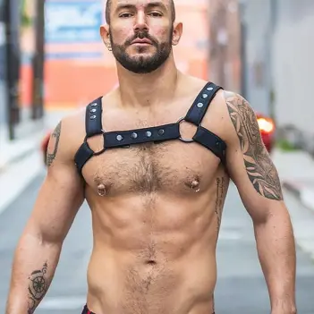 Mr S Leather Neo Carbon Black Bulldog neoprene harness | Dark-Ink