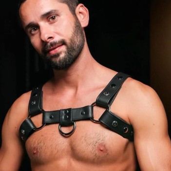 Silver snap bulldog harness