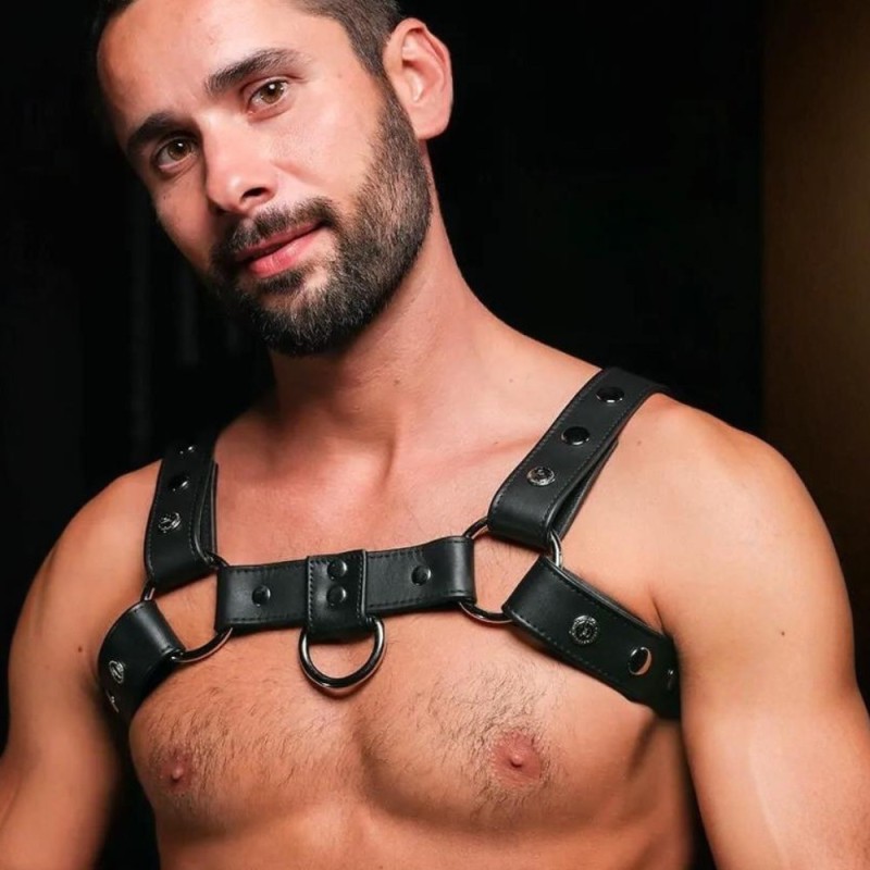 Silver snap bulldog harness